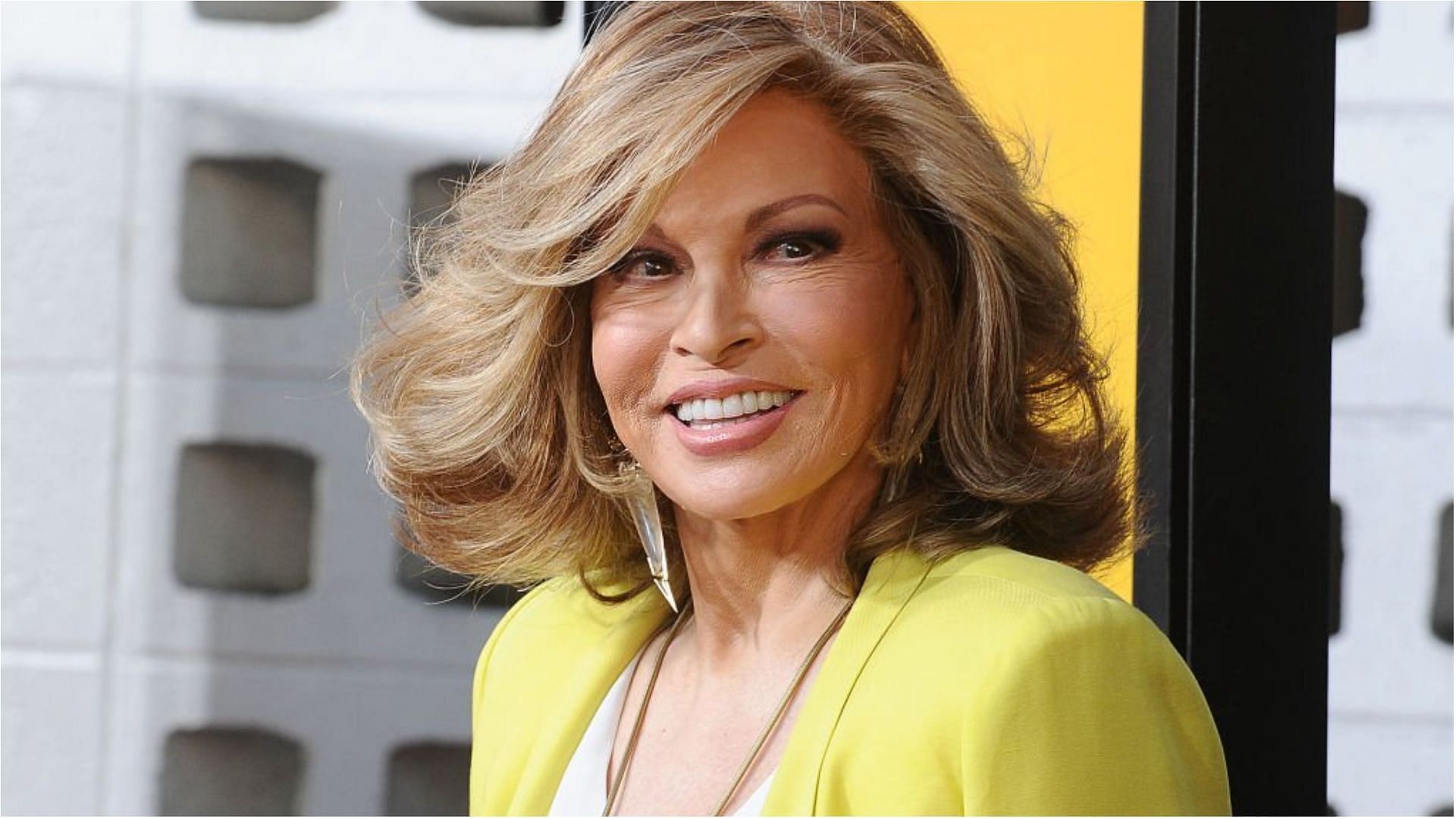 Raquel Welch earned a lot from her career in the entertainment industry in all these years (Image via Jason LaVeris/Getty Images)