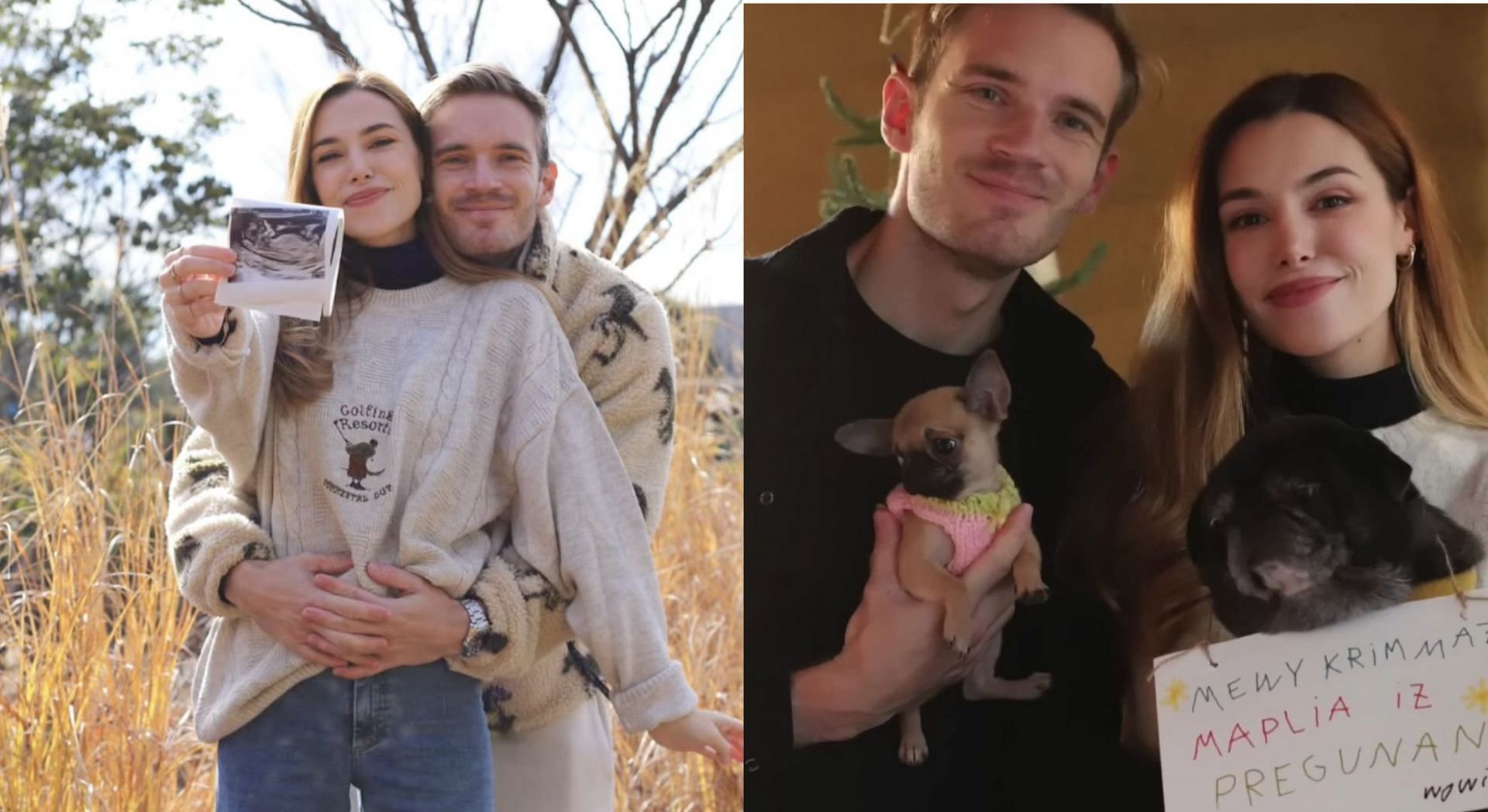 PewDiePie and his wife Marzia are expecting their first child together (Image via PewDiePie/YouTube)
