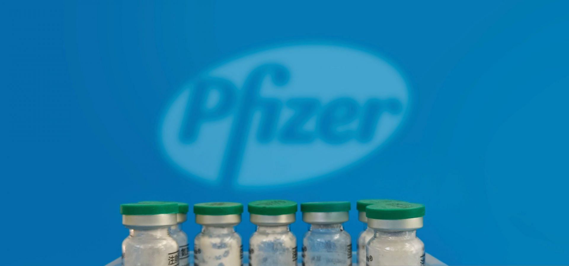 Pfizer Grammy connection and Martha Stewart ad left netizens divided (Image via Getty Images)