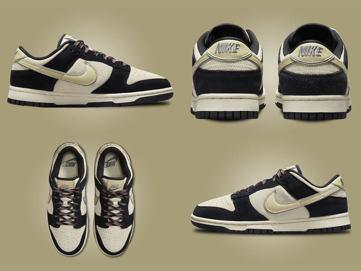 Take a detailed view of these new Nike Dunk Low shoes (Image via Sportskeeda)