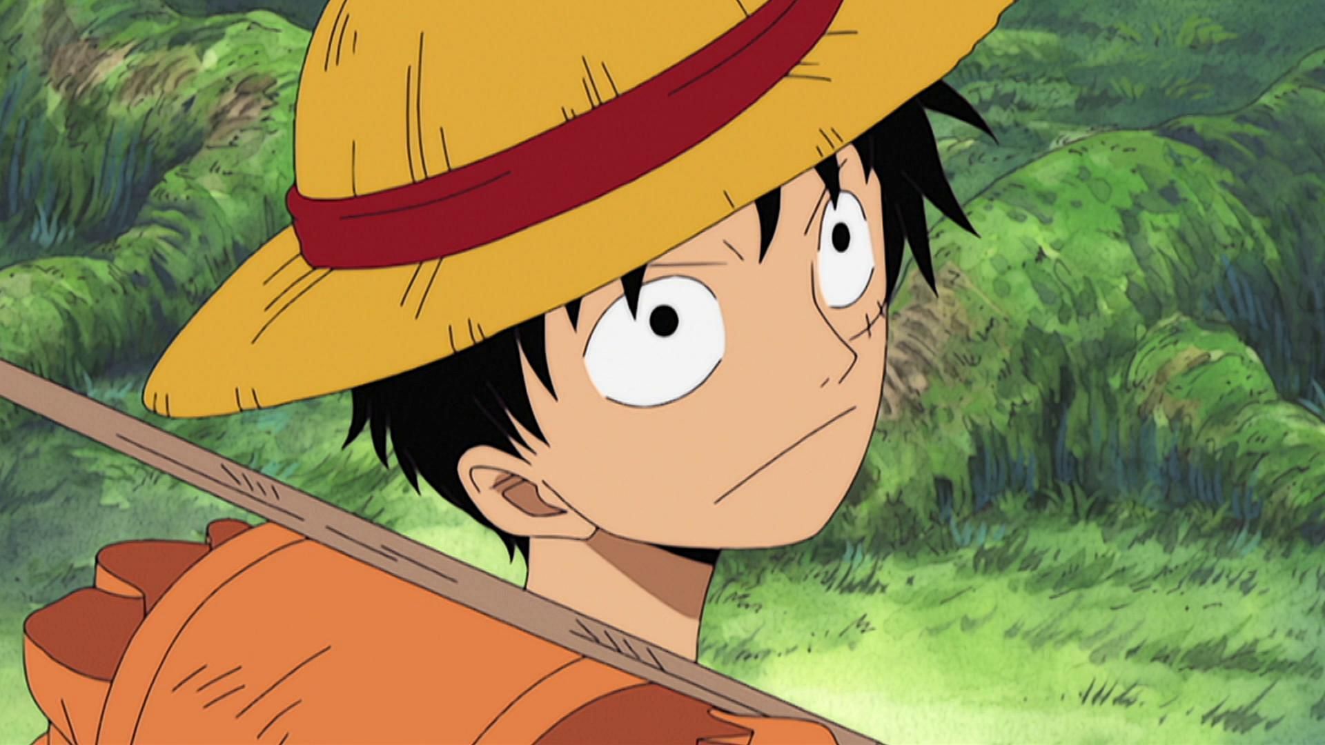 Luffy, as seen in Skypiea (Image via Toei Animation, One Piece)