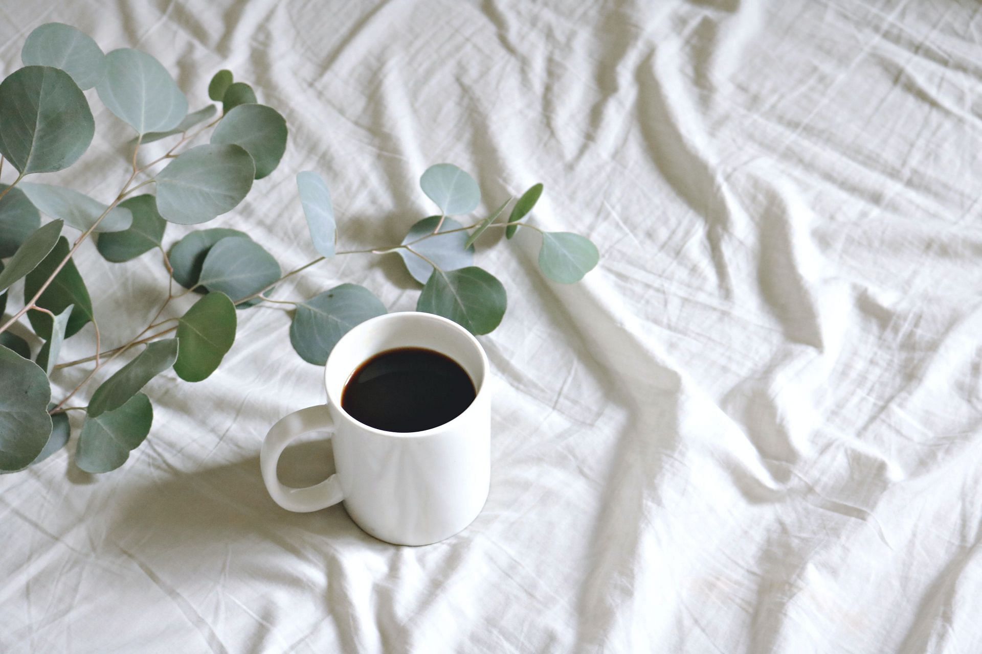 Caffeine, taken in moderation, can ease constipation. (Image via Pexels/ Madison Inouye)