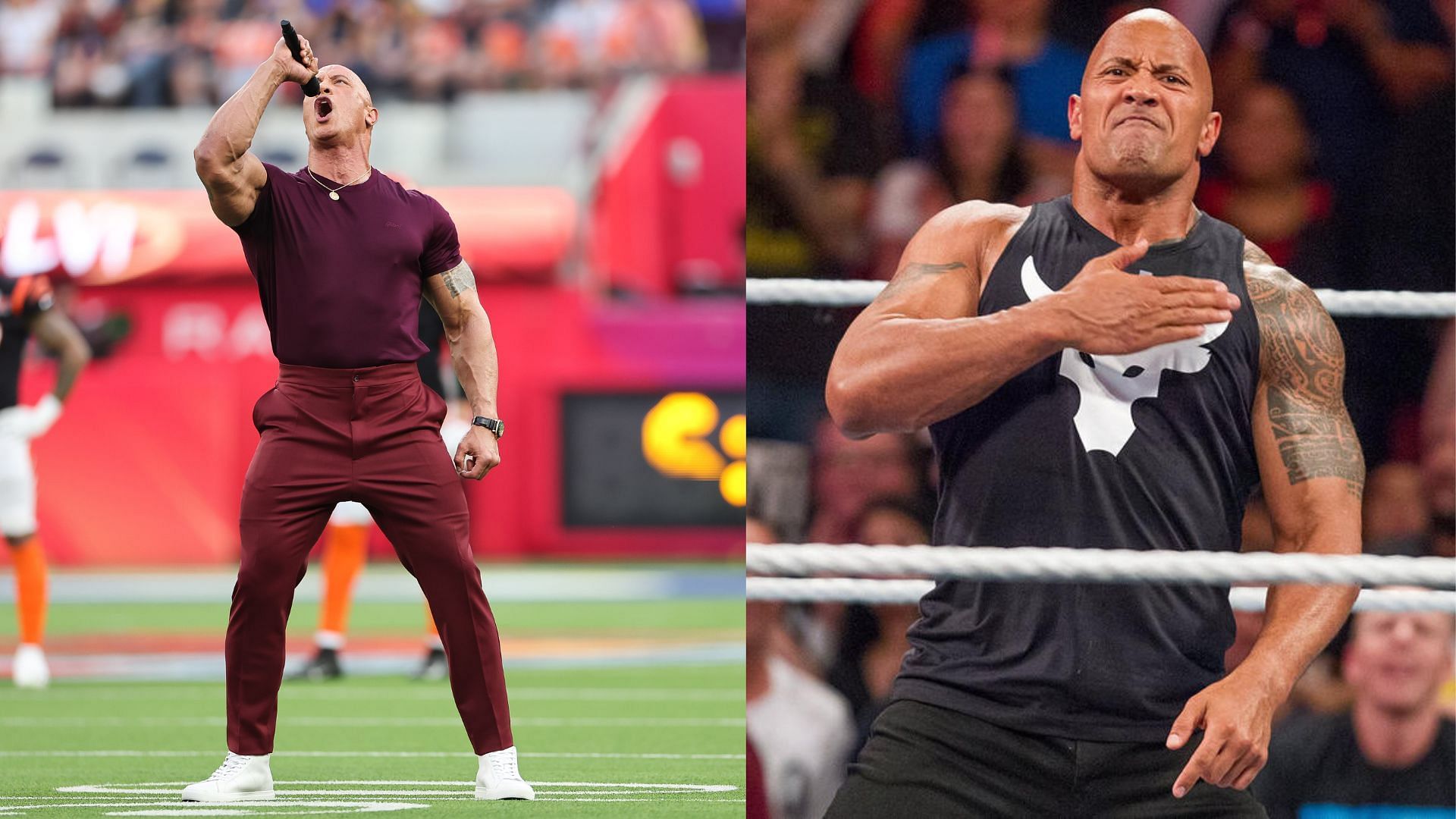 dwayne johnson nfl