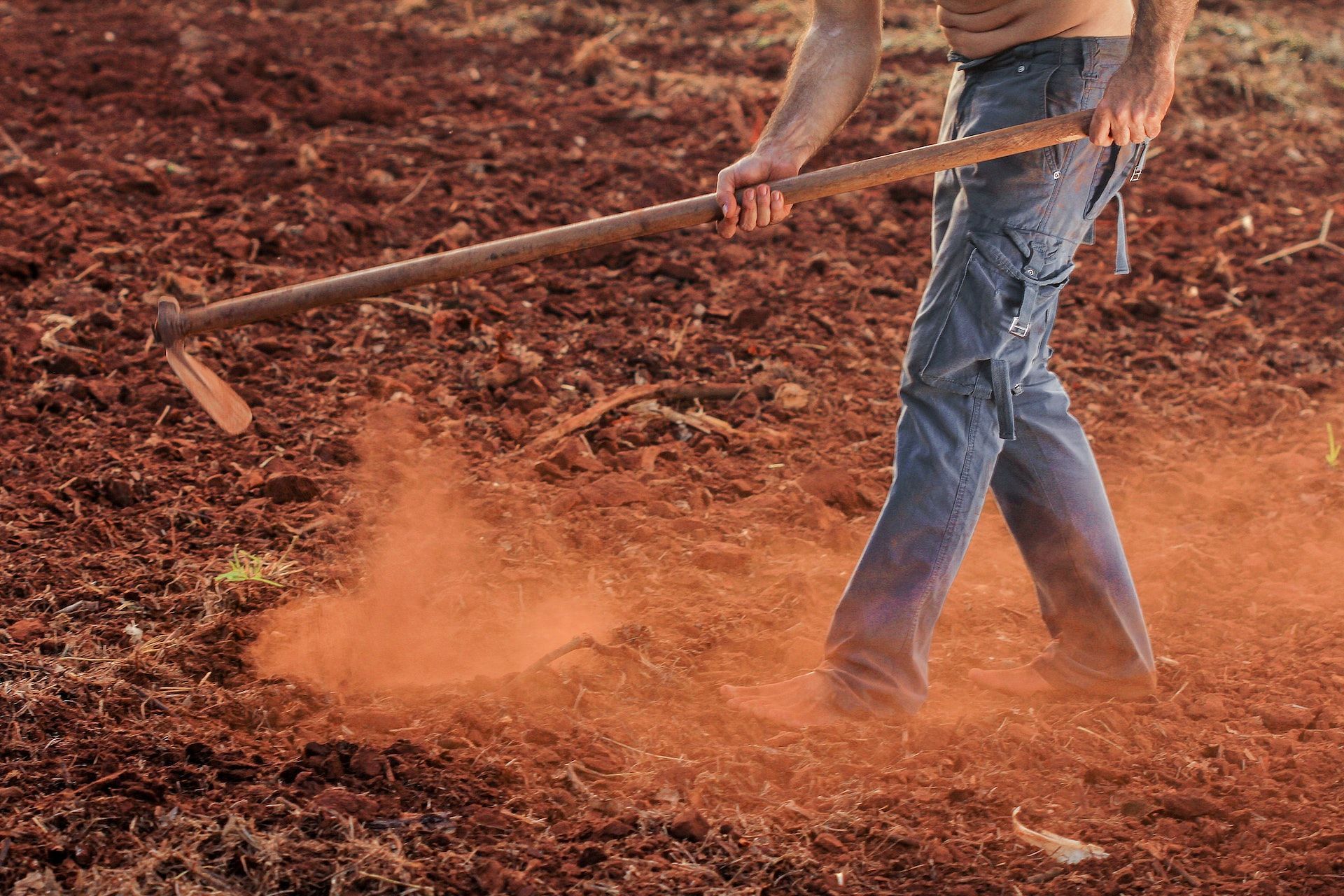 Digging can release fungal spores. (Photo via Pexels/Rodolfo Clix)