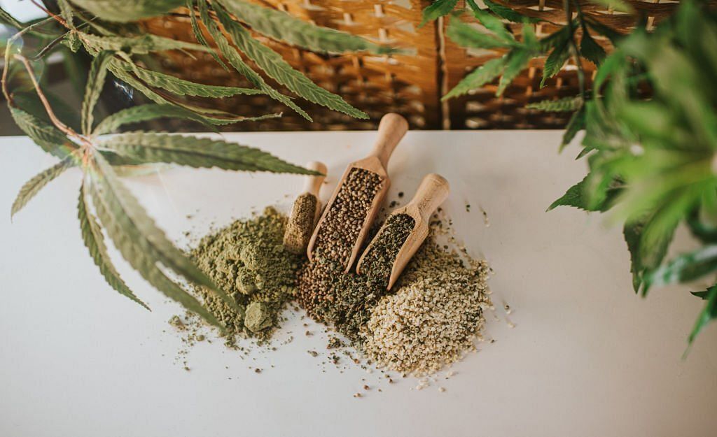 Hemp Seeds: The Superfood You Need to Know About