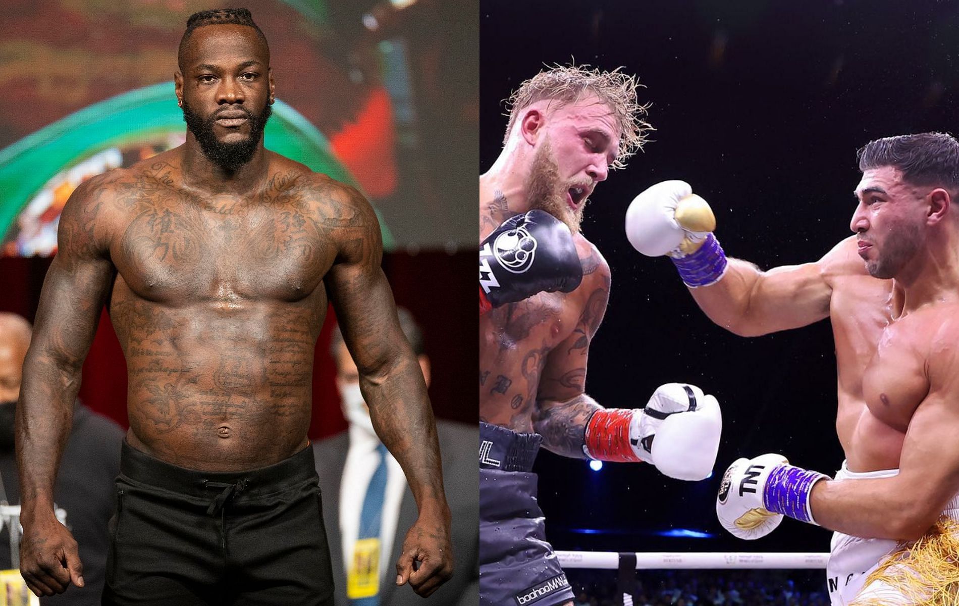 Deontay Wilder (left) and Jake Paul vs Tommy Fury (right)