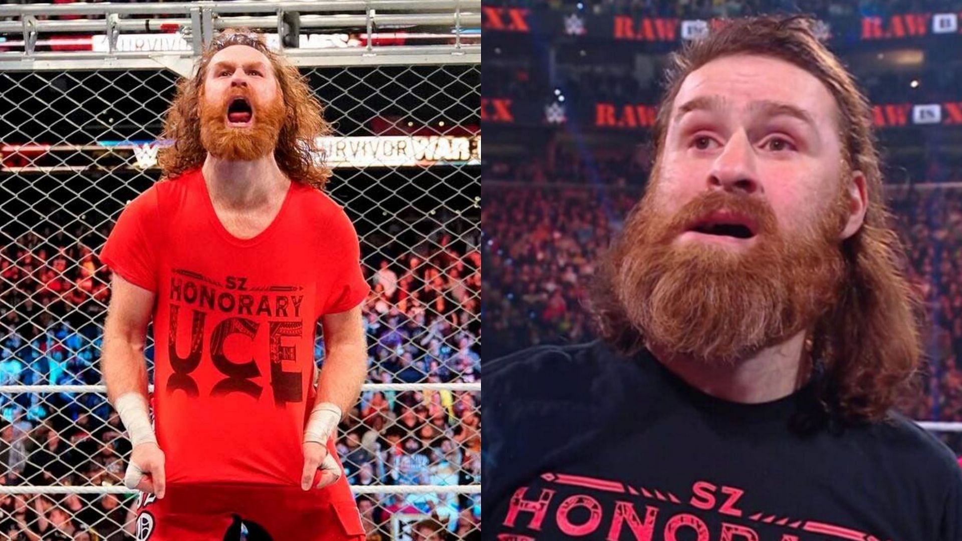 Sami Zayn reminds 2time WWE Hall of Famer of himself