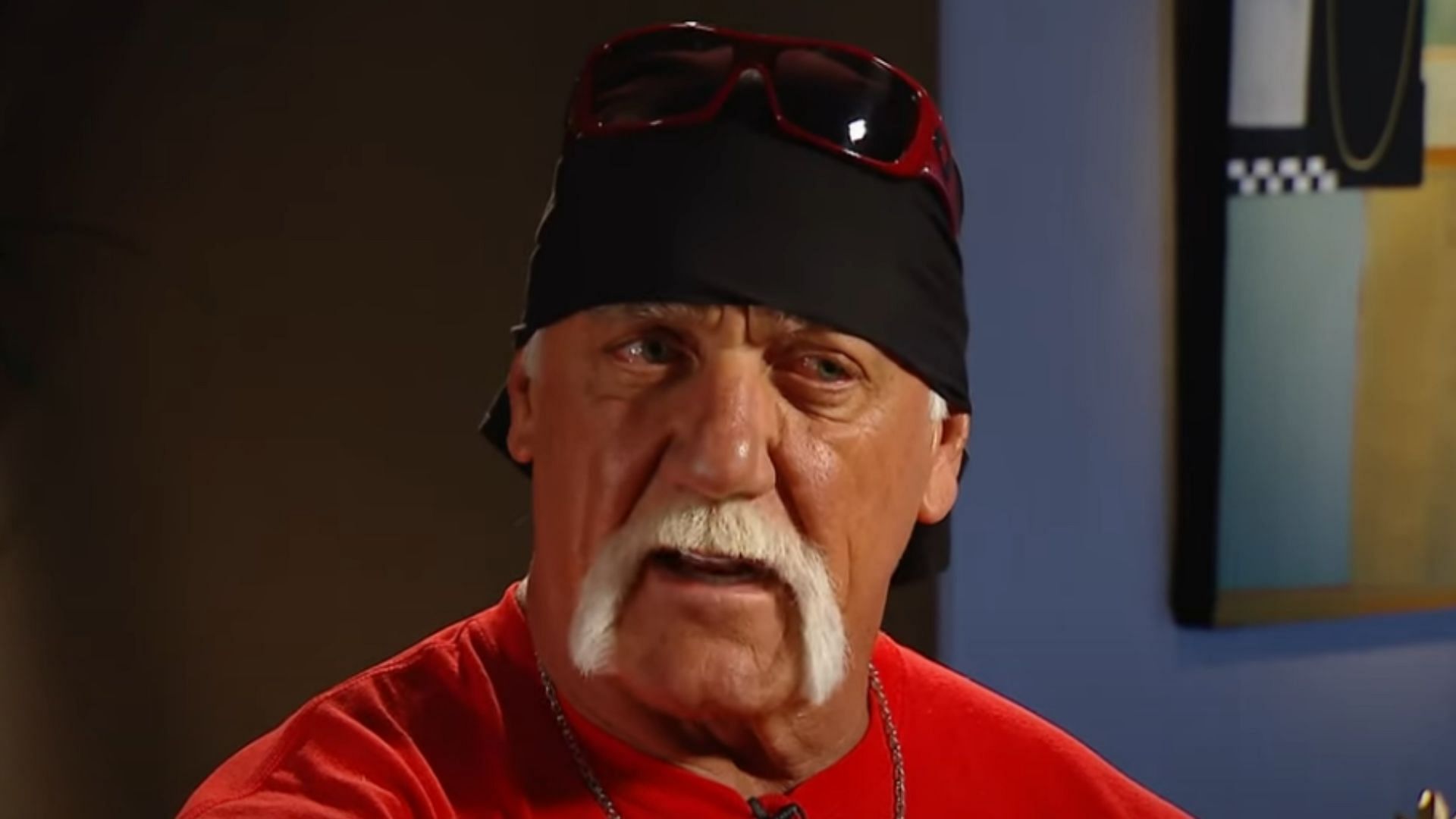 Hulk Hogan was WCW