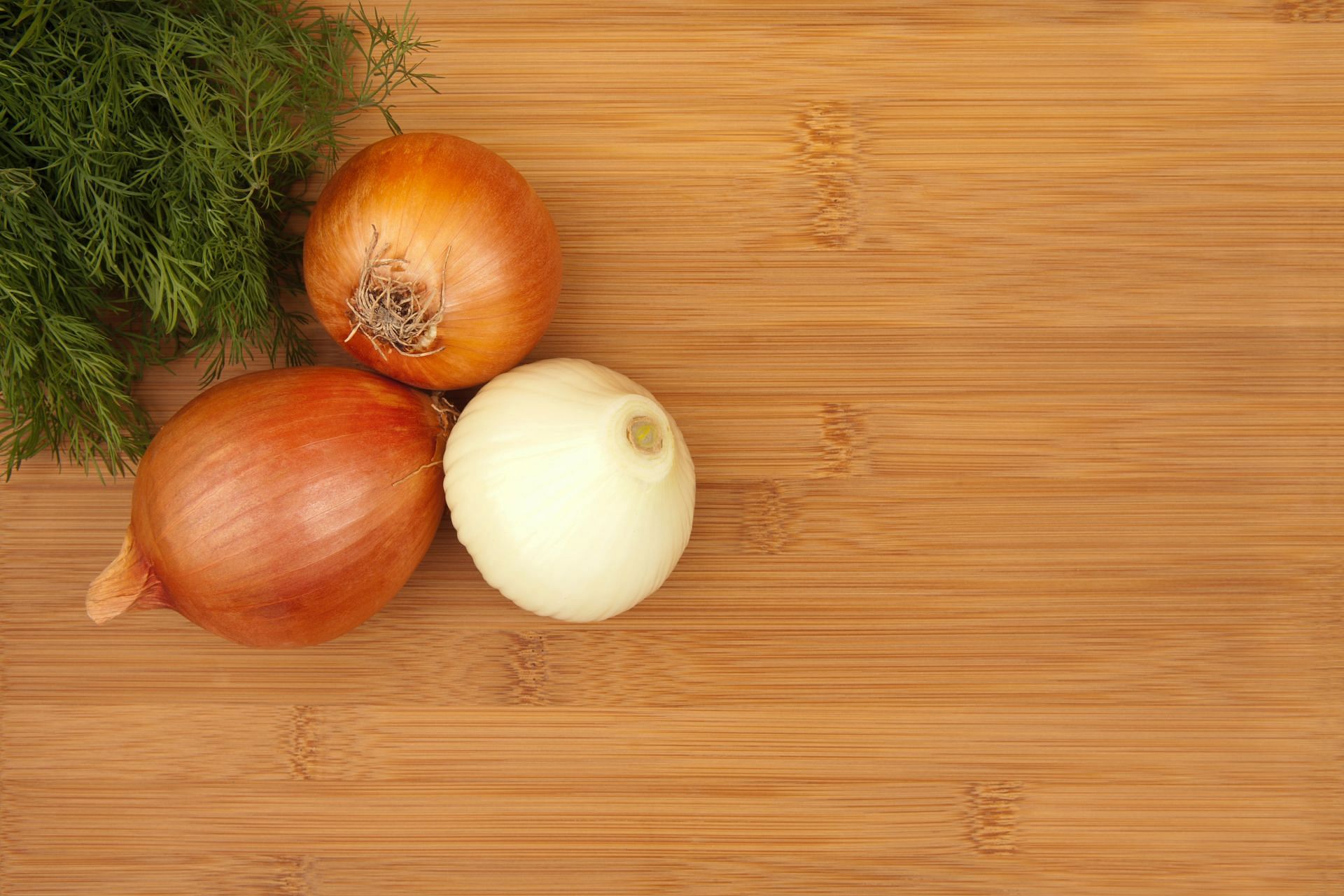 Onions are found in different sizes, colors, and flavors (Image via Unsplash/&Ouml;nder &Ouml;rtel)