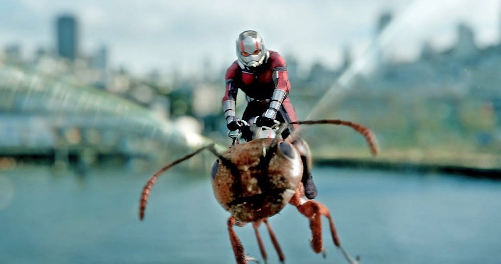 Exploring possibilities and Ant-Man 4 rumors (Image via Marvel Studios)