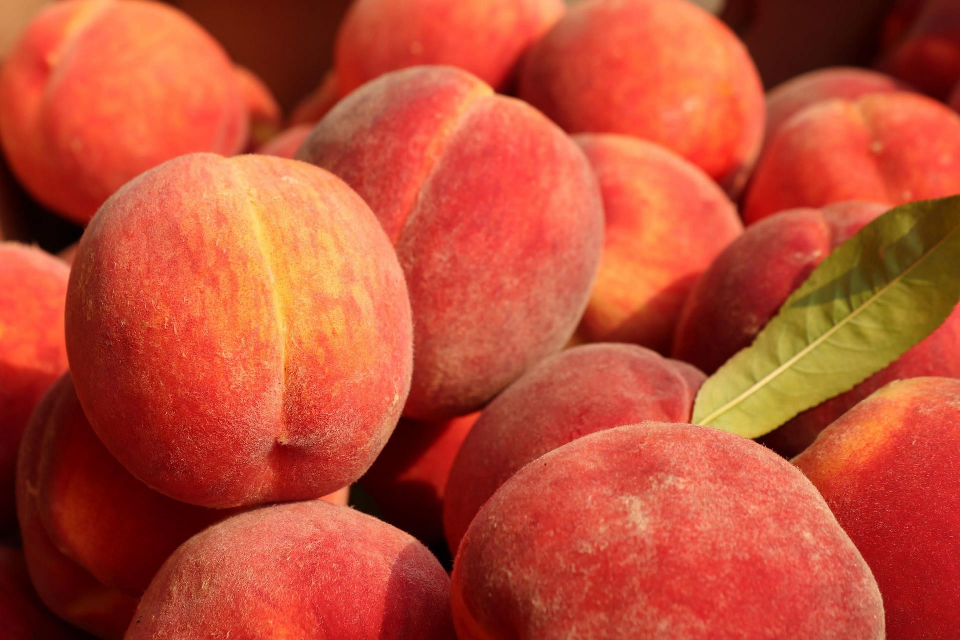 The amount of calories in a peach makes it a perfect choice for weight loss. (Image via Unsplash / Nisonco PR and SEO)