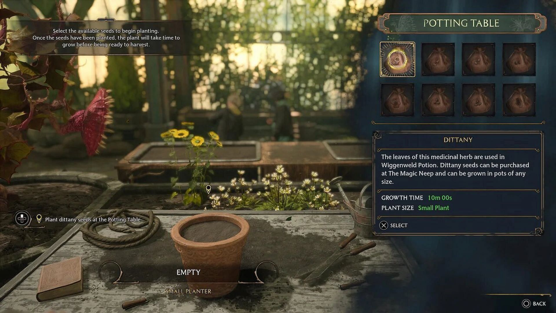 Dittany leaves are used in brewing health potion in Hogwarts Legacy (Image via WB Games)