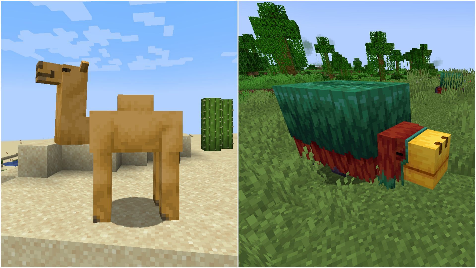 Camels and Sniffers are two new mobs that will be added to the Minecraft 1.20 update (Image via Mojang)