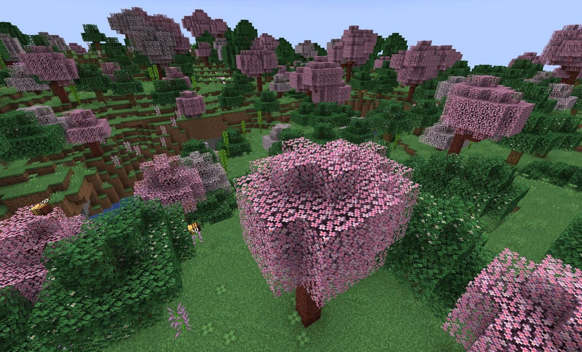 The new Minecraft 1.20 update adds Sniffers and cherry grove biomes -  Polygon