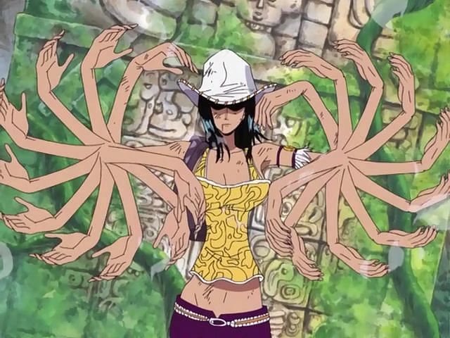 One Piece, Wiki