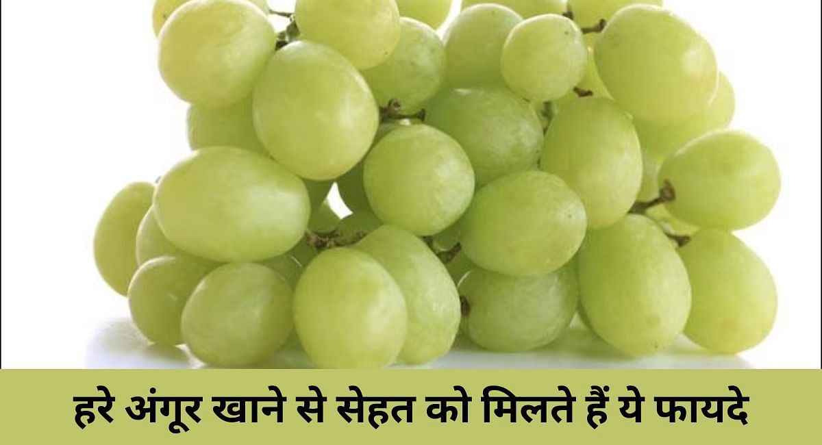 हरे अंगूर खाने से सेहत को मिलते हैं ये फायदे(फोटो-Sportskeeda hindi)