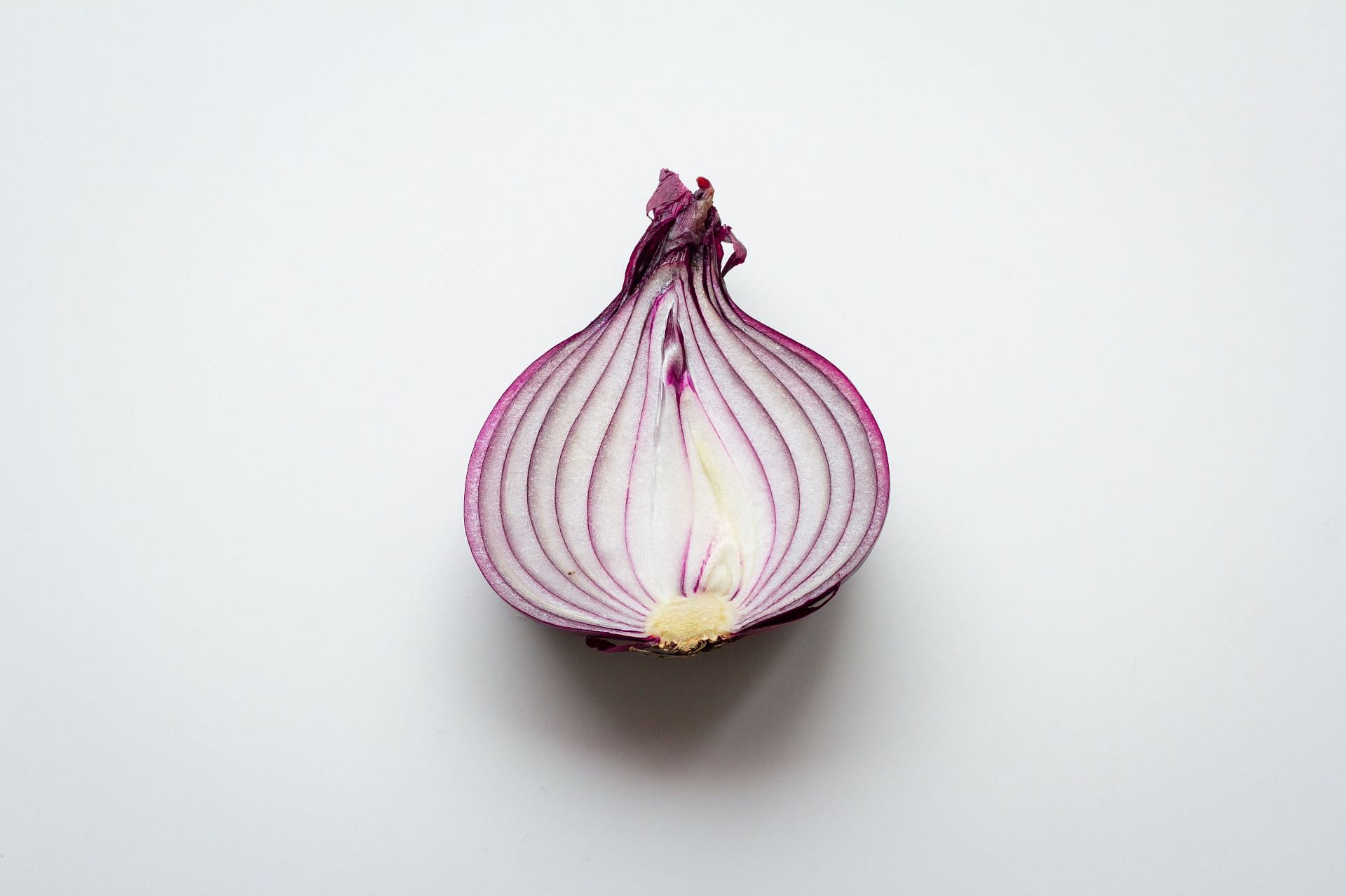 Onion contains various compounds that help in hair growth. (Image via Unsplash/ K8)