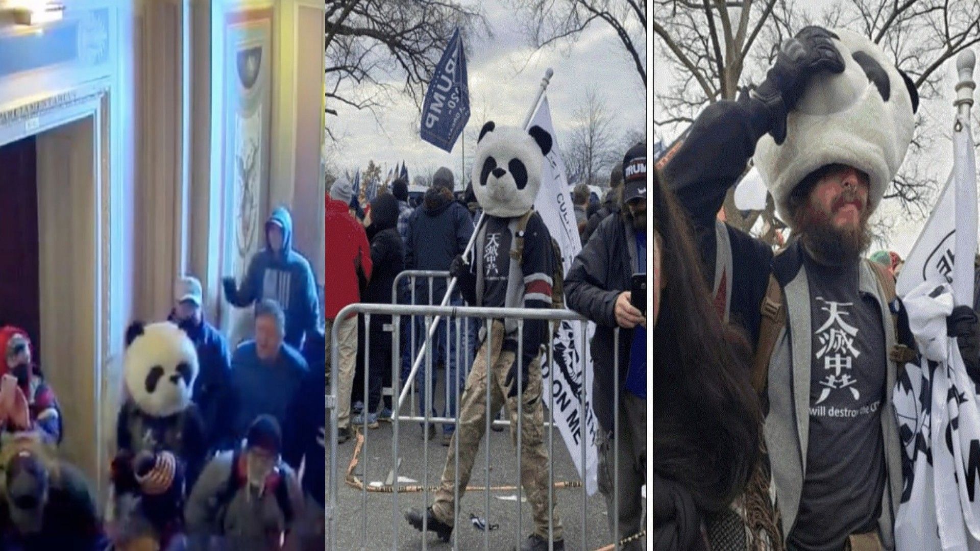 Jesse James Rumson was arrested for entering the Capitol building while donning a panda headgear (Image via Dave Wagner/Twitter)