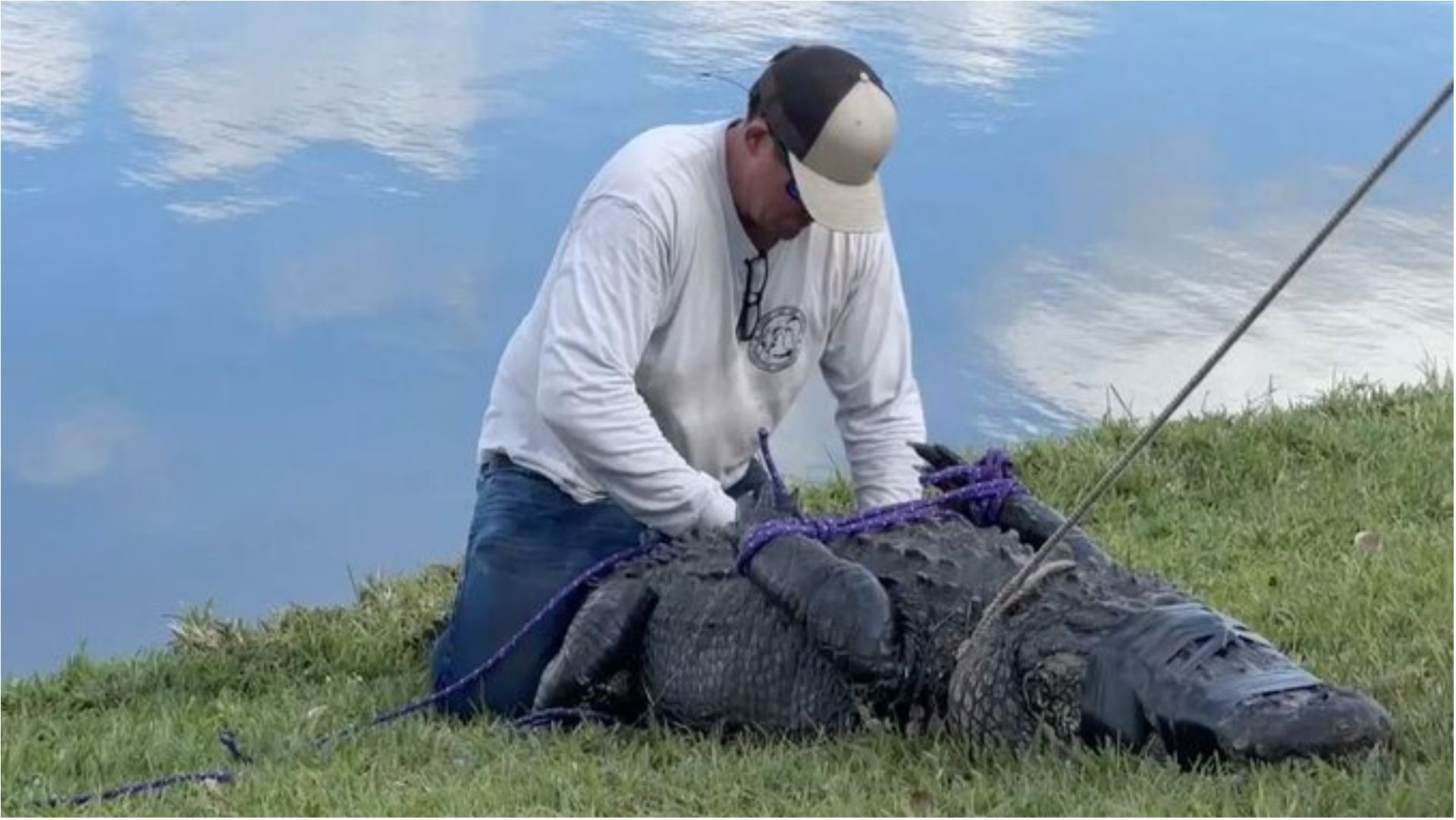 WATCH: Florida alligator attack video goes viral in wake of Gloria ...