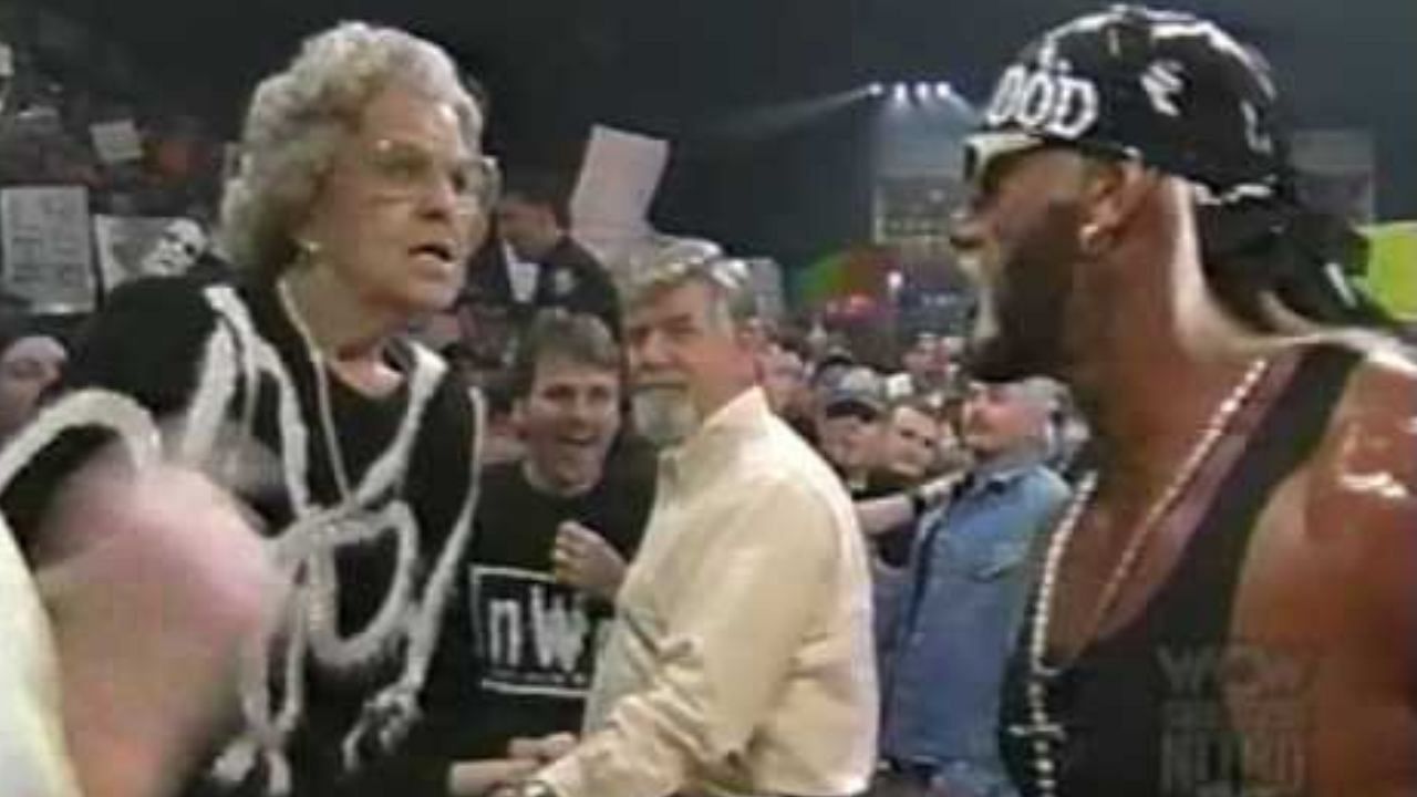 Hulk Hogan was the leader of the nWo in WCW