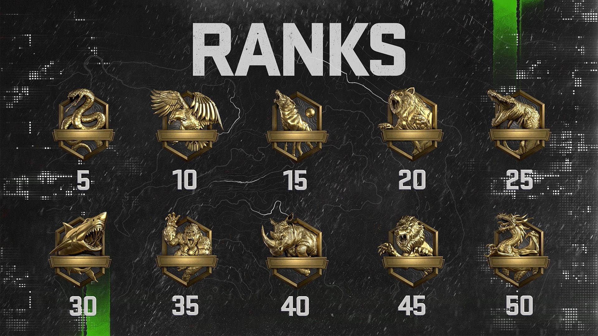 Rank symbols in Modern Warfare 2 (Image via Activision)