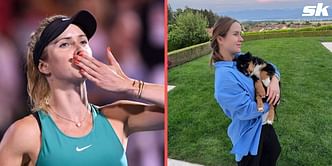In pictures: Elina Svitolina celebrates her 'cute troublemaker' dog turning one with adorable photos