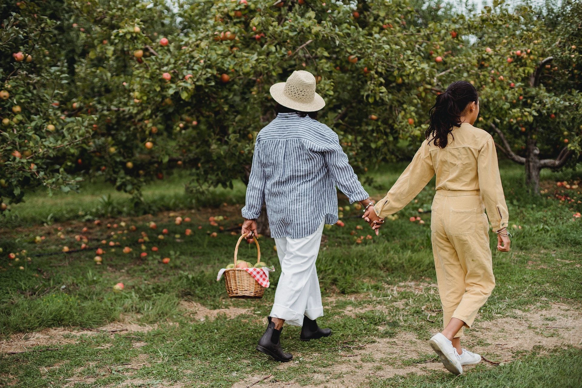 Go for a walk every day. (Photo via Pexels/Zen Chung)