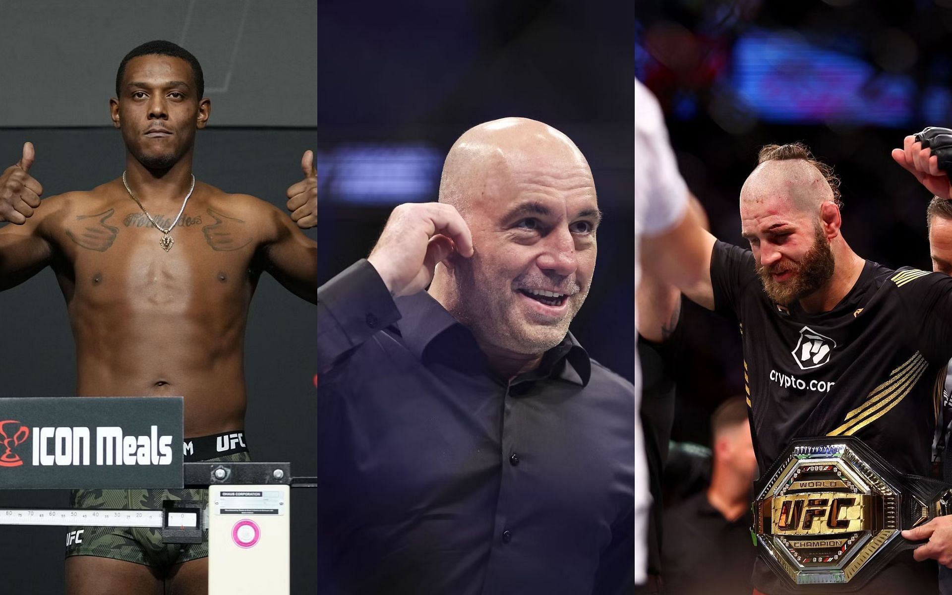 Jamahal Hill, Joe Rogan and Jiri Prochazka 