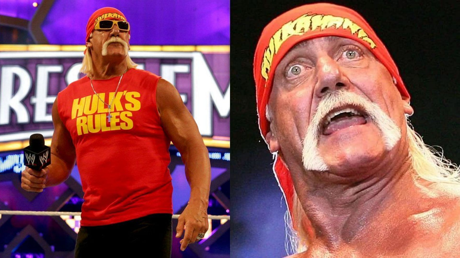 Hulk Hogan is a WWE Hall of Famer