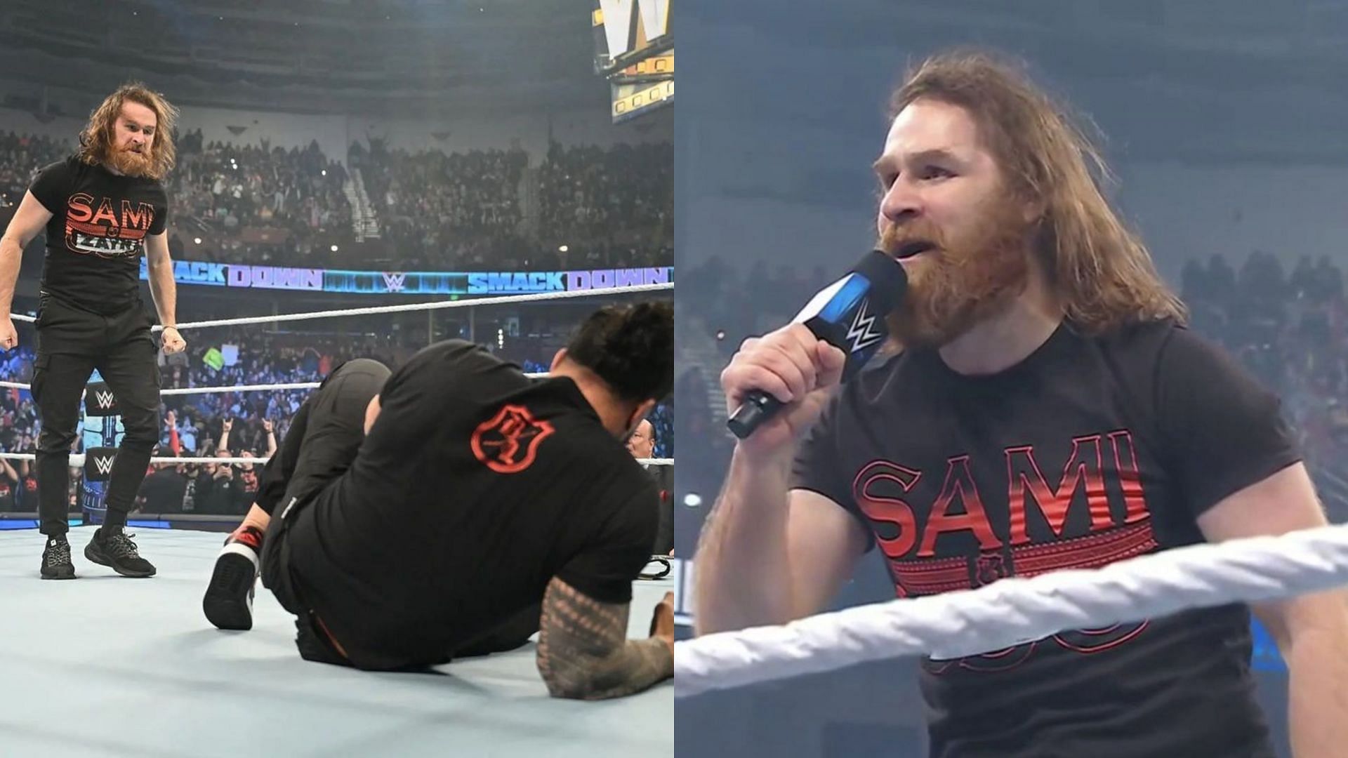 Sami Zayn will face Roman Reigns at WWE Elimination Chamber