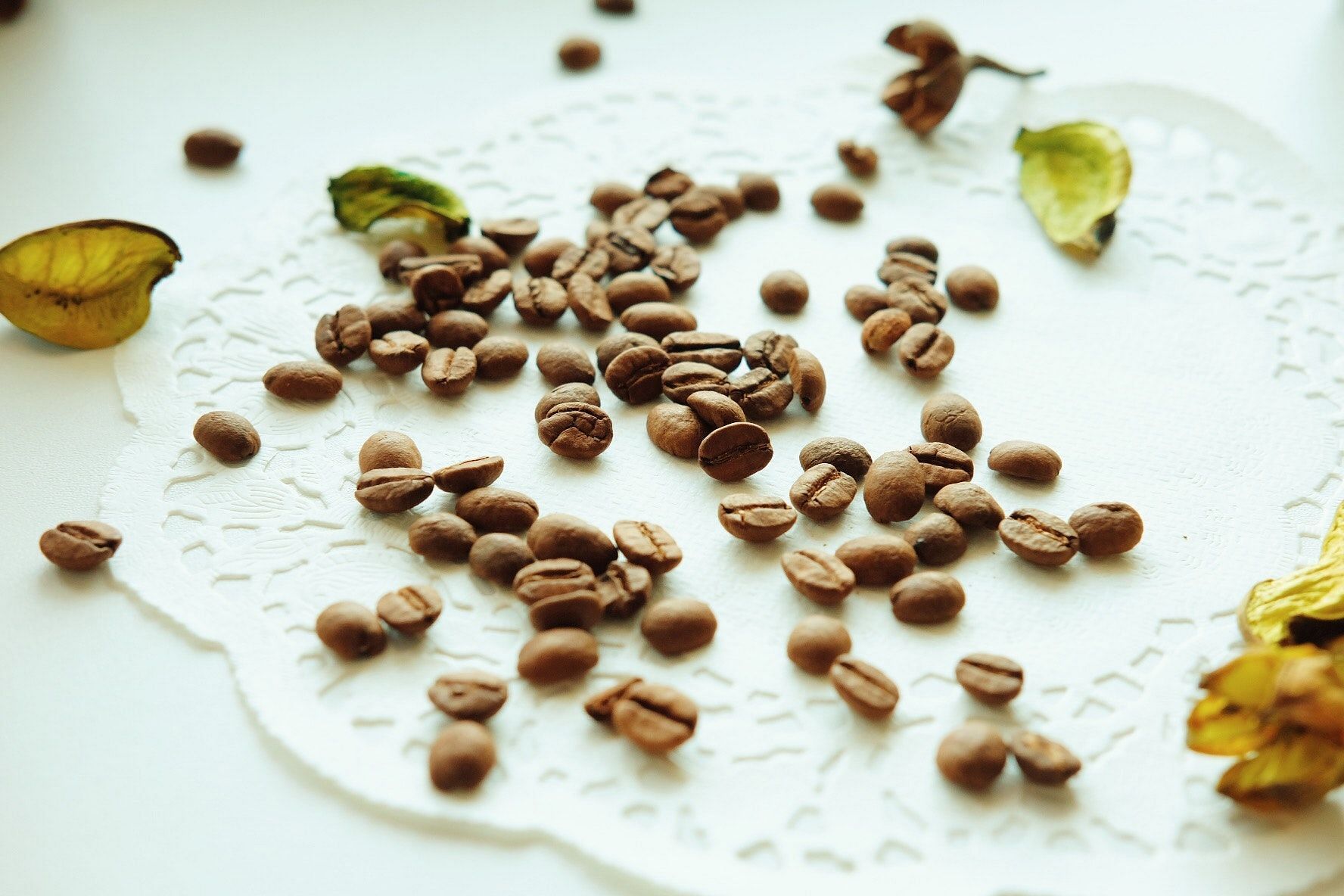 Cocoa powder (Image via Pexels/)