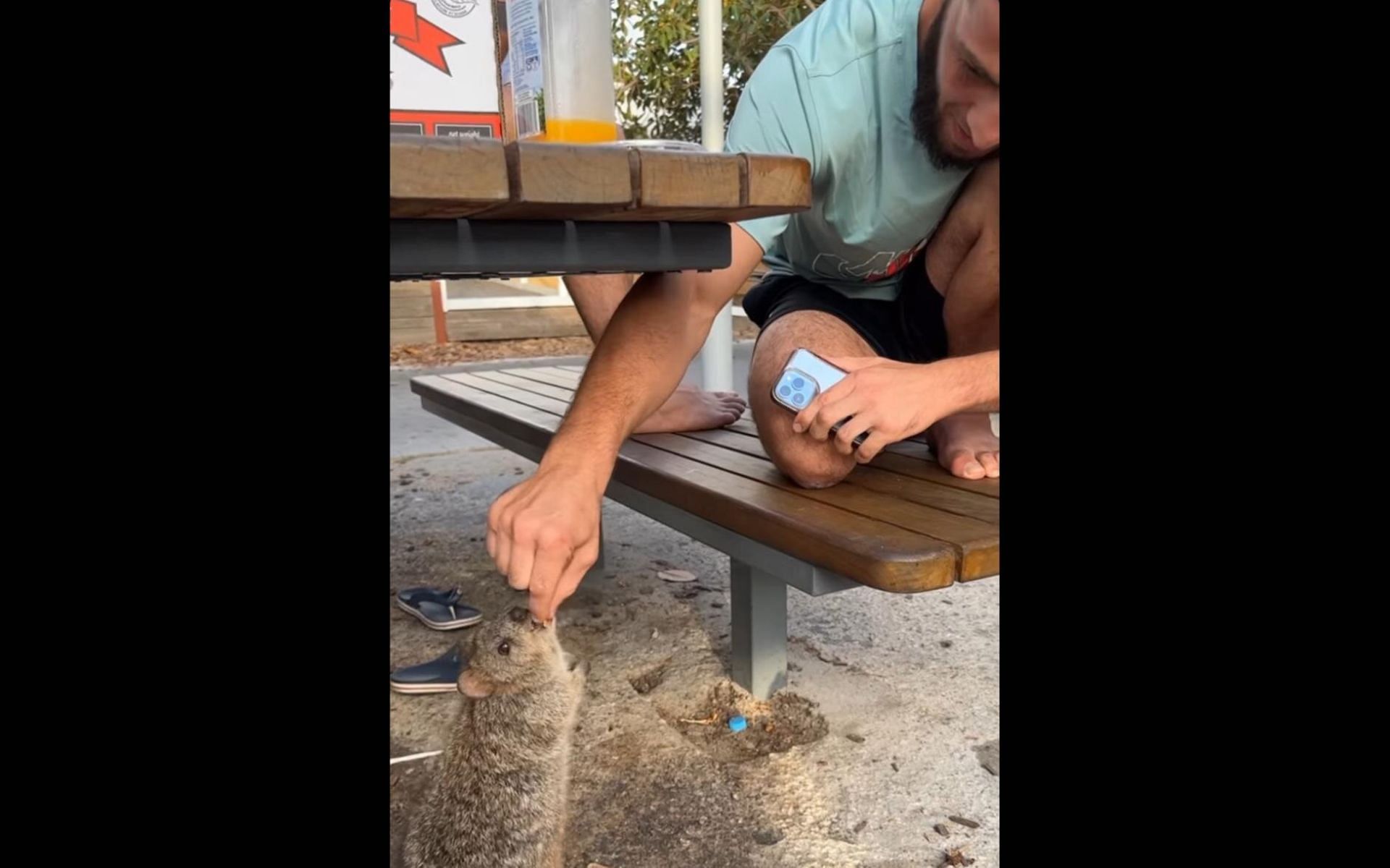 Islam Makhachev&#039;s teammates feeding quokkas [Image via: perthnow.com]