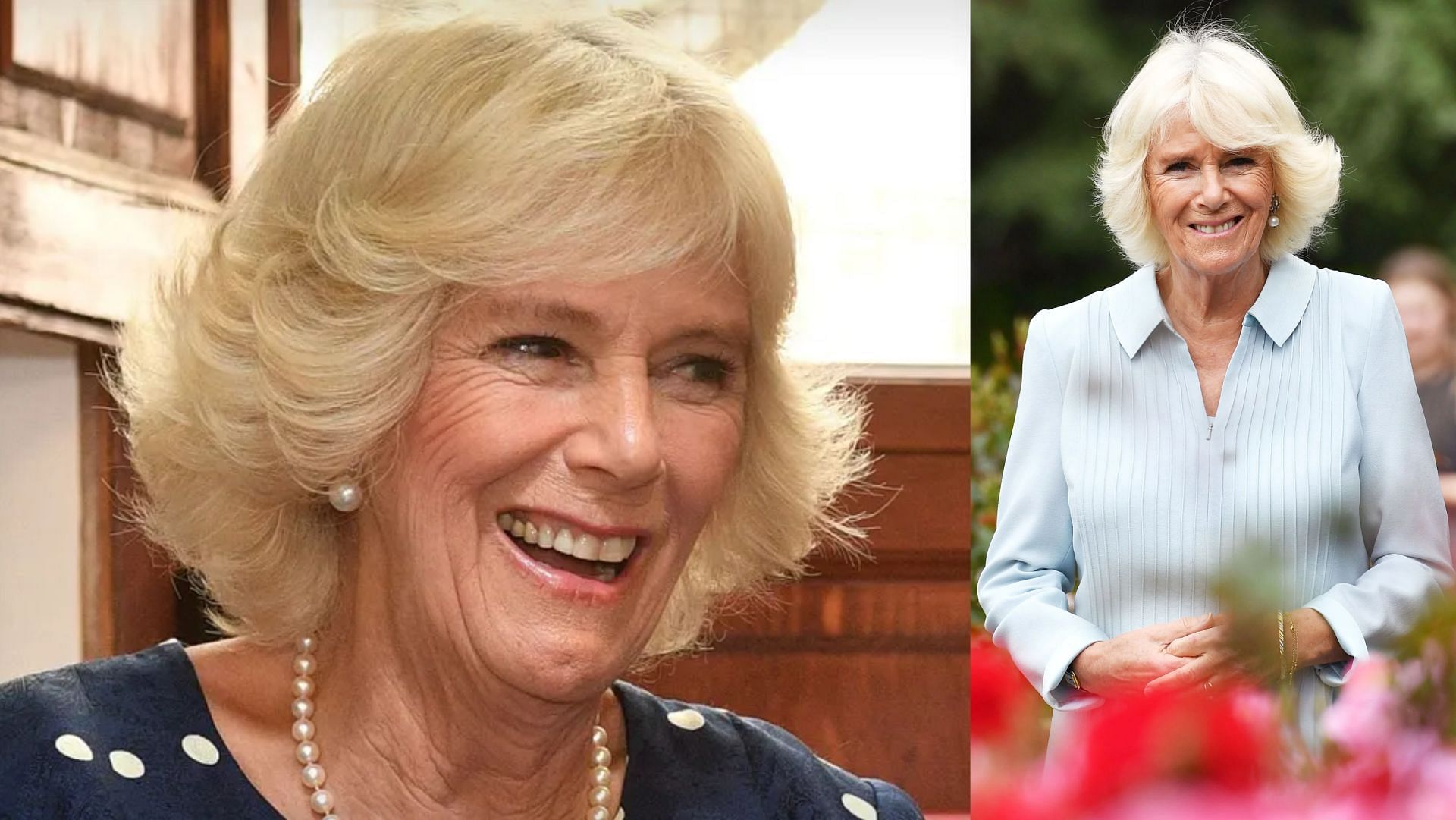 Netizens react to Queen Consort Camilla Parker Bowles