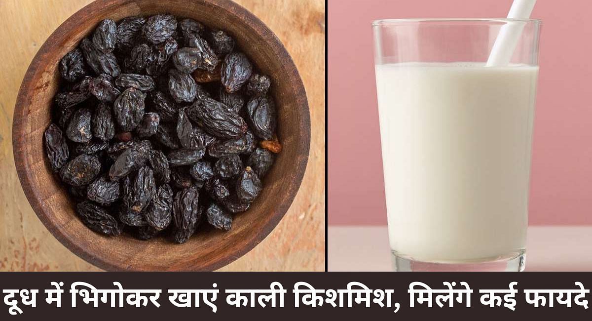 दूध में भिगोकर खाएं काली किशमिश, मिलेंगे कई फायदे(फोटो-Sportskeeda hindi)