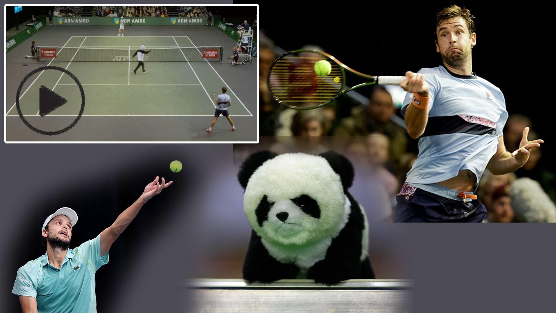 Person dressed as panda runs onto court during qualifiers at the ABN Amro Open 2023