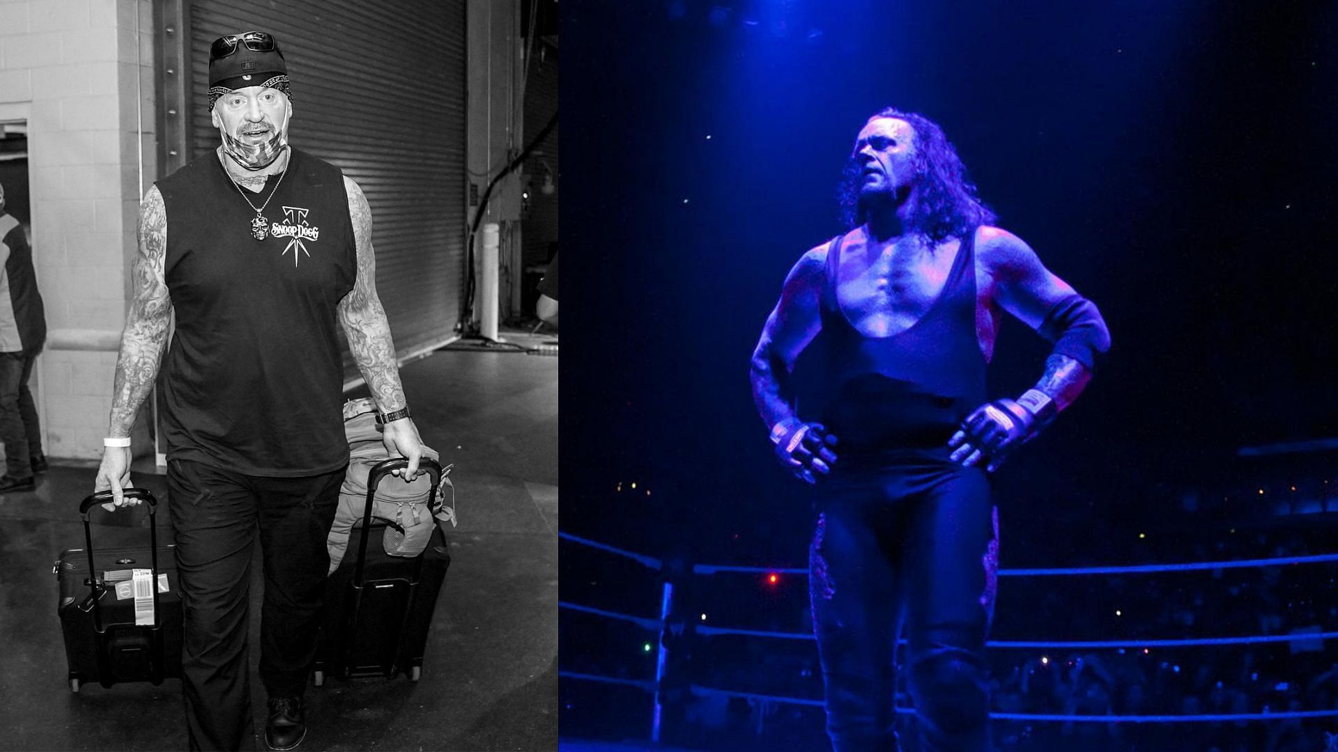 Remembering the Enigmatic WWE Superstar Bray Wyatt: A Legacy Cut