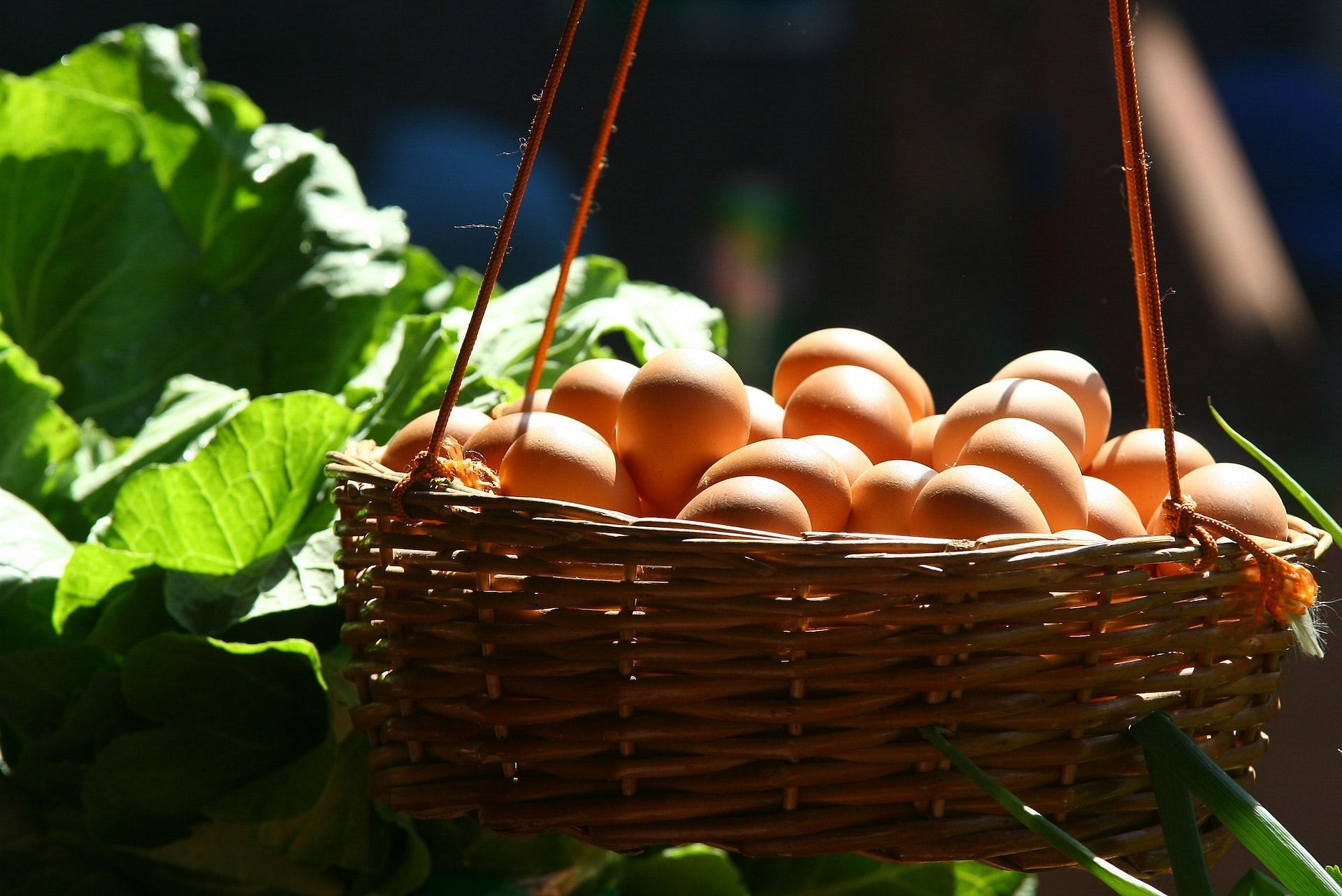 Eggs are suitable for people with IBS. (Photo via Pexels/Rodolfo Clix)