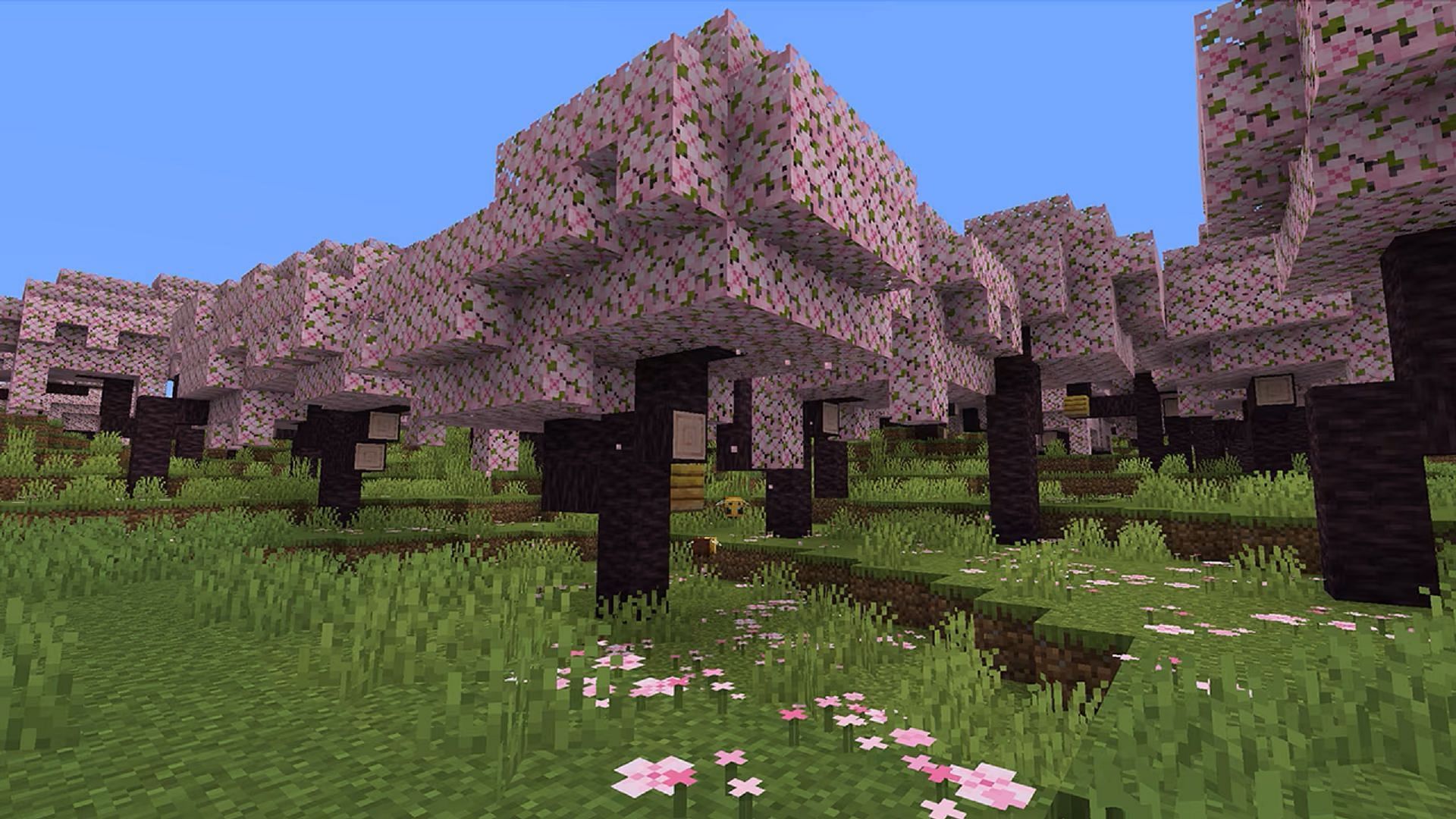 The Cherry Blossom biome is perfect for Moolips and even yellow Mooblooms (Image via Mojang)
