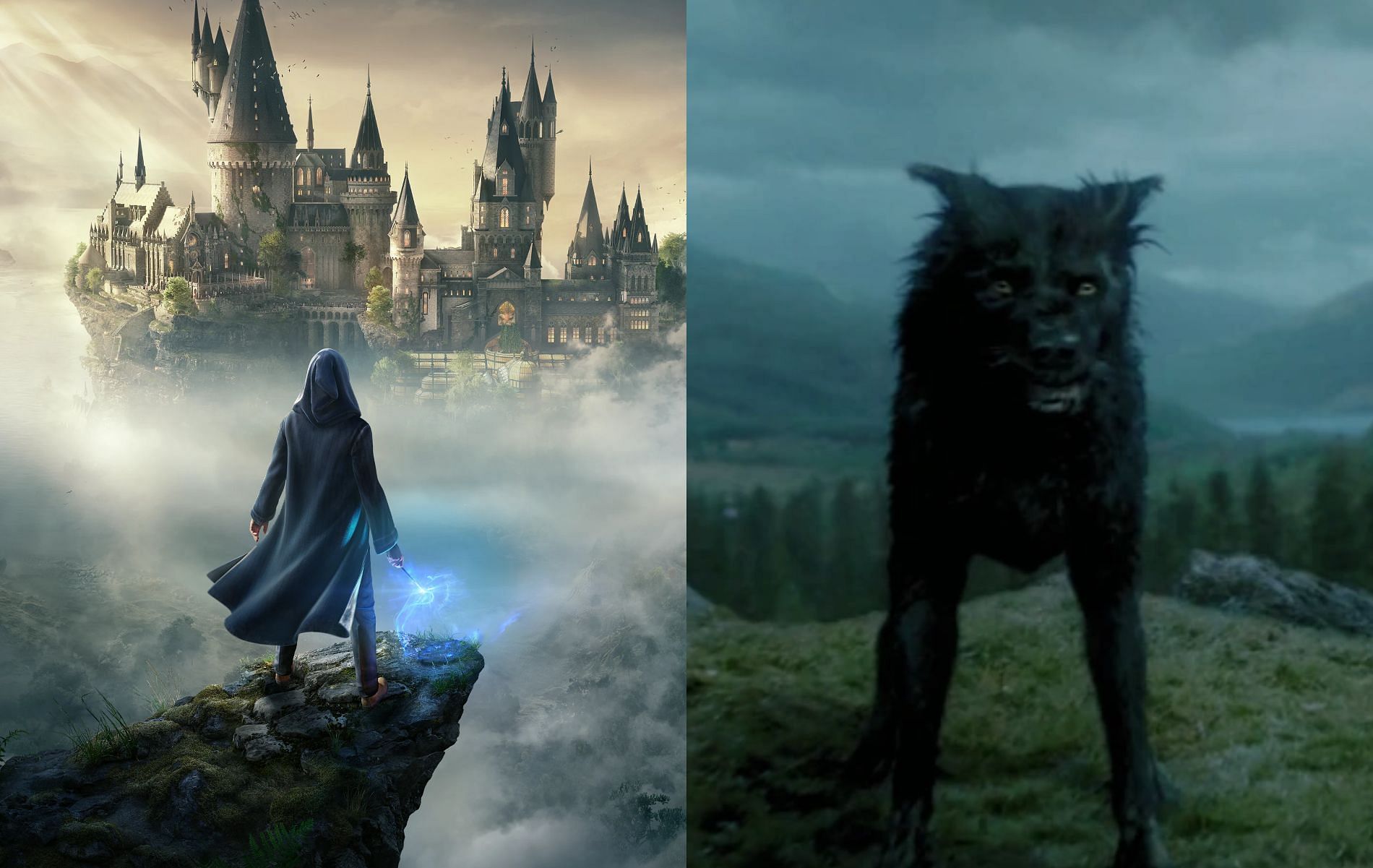 The Animagi are one of the most curious aspects of the Wizarding World (Images via Warner Bros)