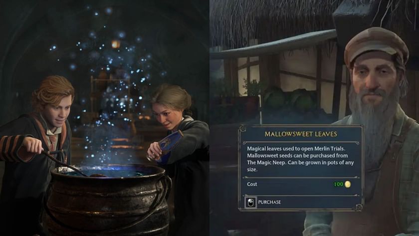 Hogwarts Legacy: How To Get More Mallowsweet