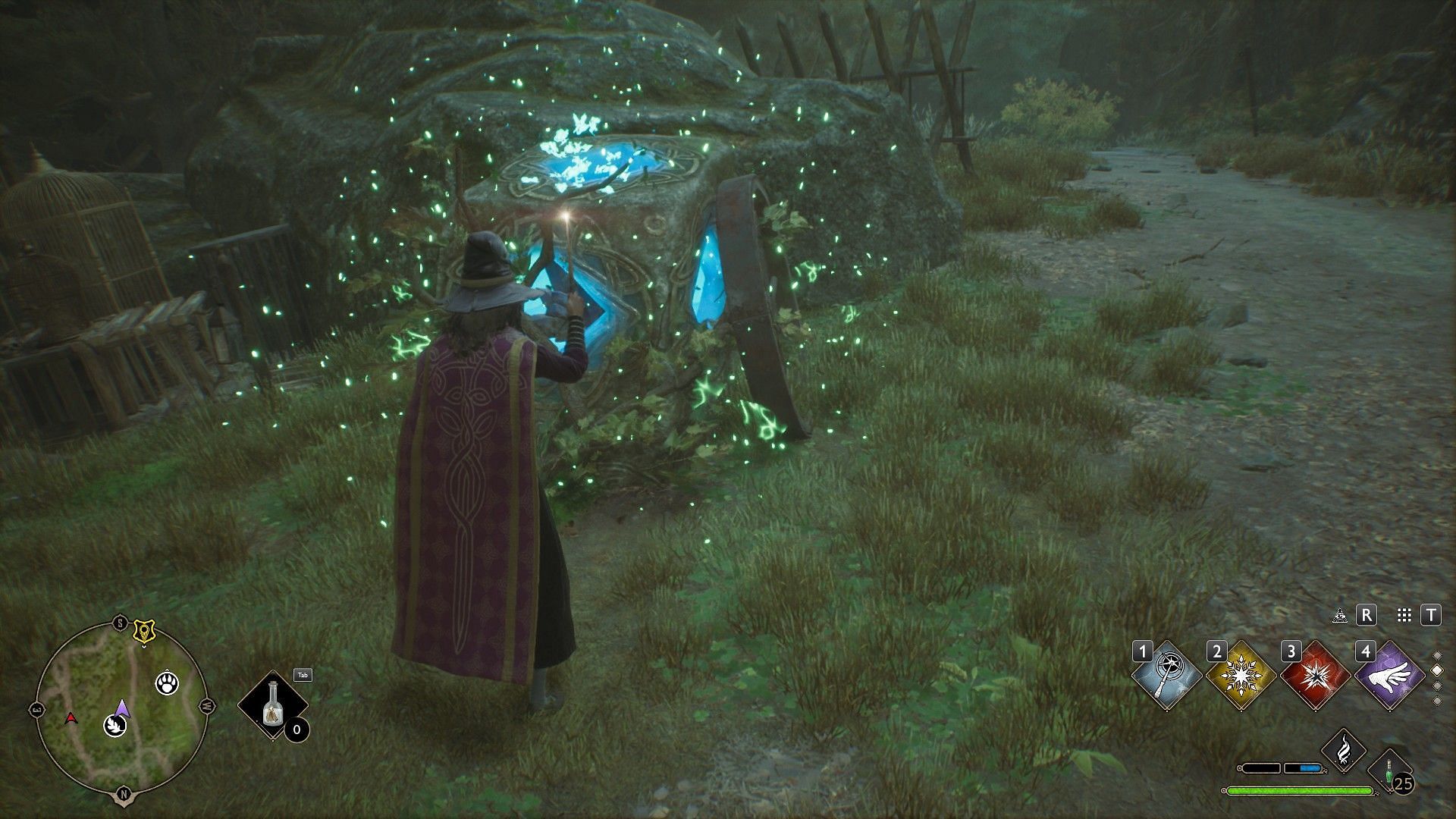 Leading butterflies to these stones will solve this trial (Image via WB Games)