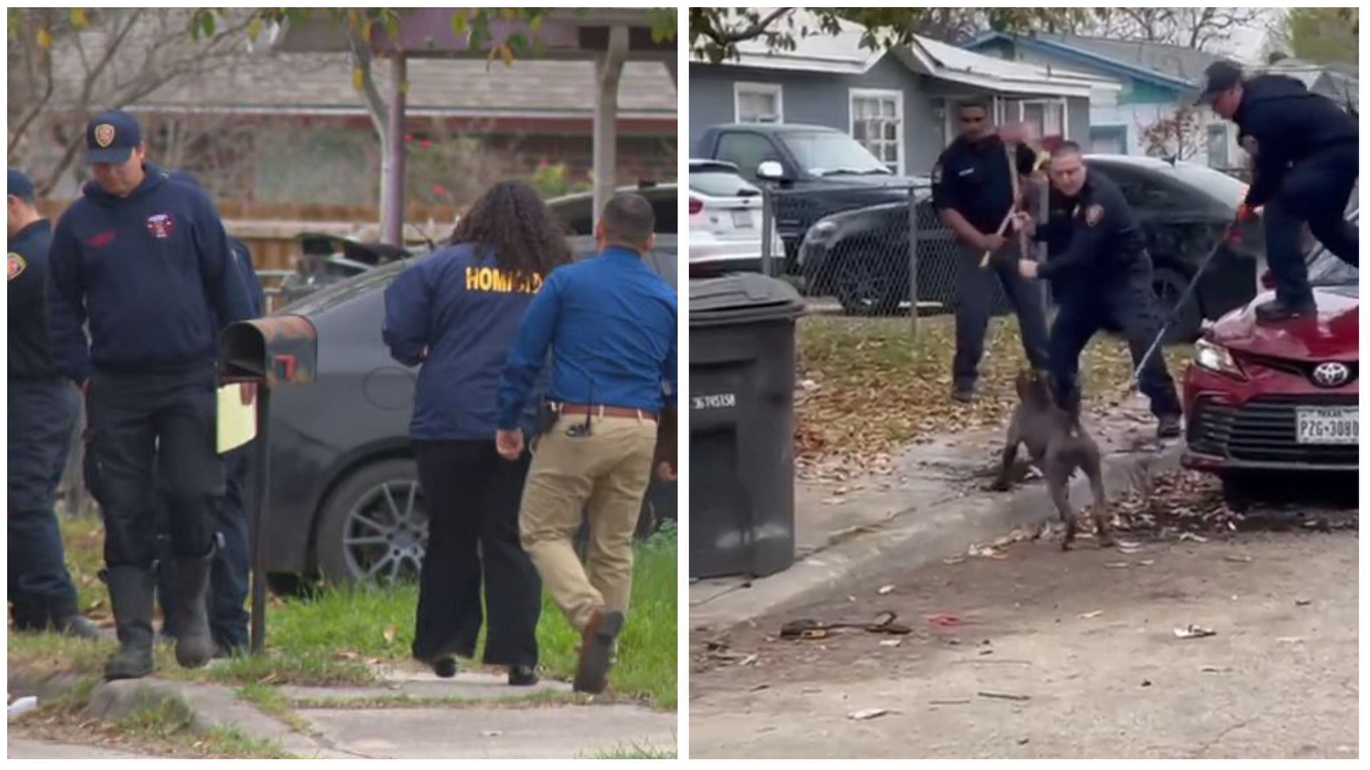 Community mourns the tragic death of an elderly man in a brutal dog attack (Images via Twitter @/RobertPriceTV @/ppv_tahoe) 