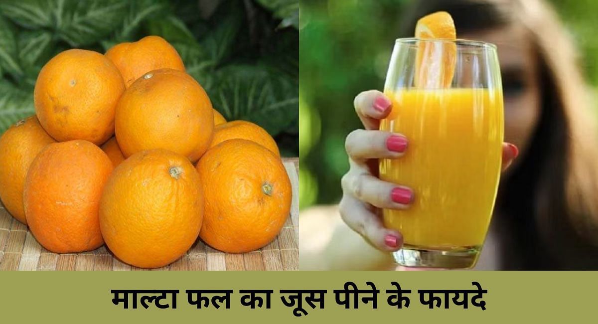 माल्टा फल का जूस पीने के फायदे(फोटो-Sportskeeda hindi)