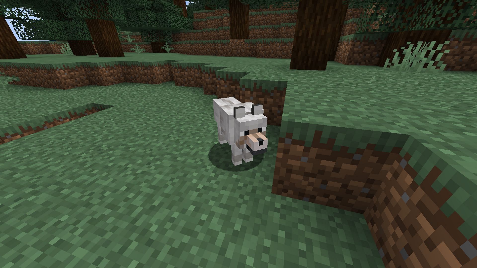 Wolf is an old mob that is still considered cute in Minecraft (Image via Mojang)