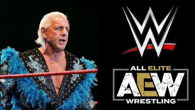 WWE veteran says top AEW star is not on Ric Flair's level of "selling" (Exclusive)