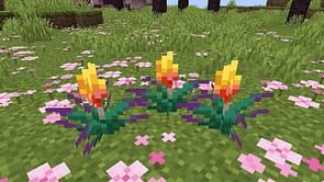 Minecraft players want new torchflowers to produce light