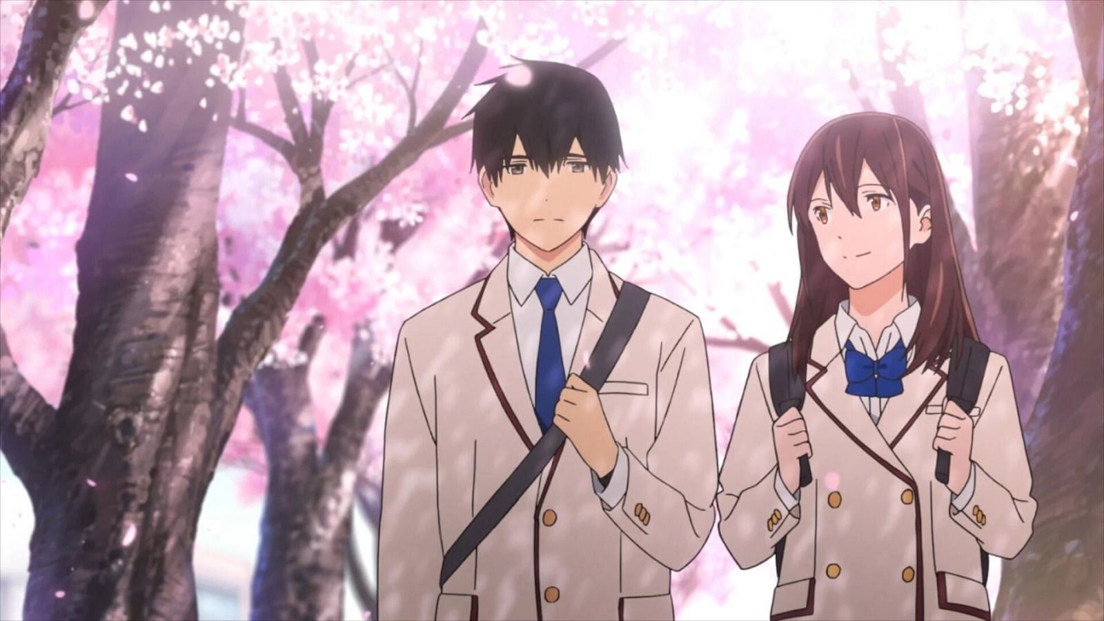Anime Movie Review  I Want To Eat Your Pancreas Studio VOLN  Standing  On My Neck
