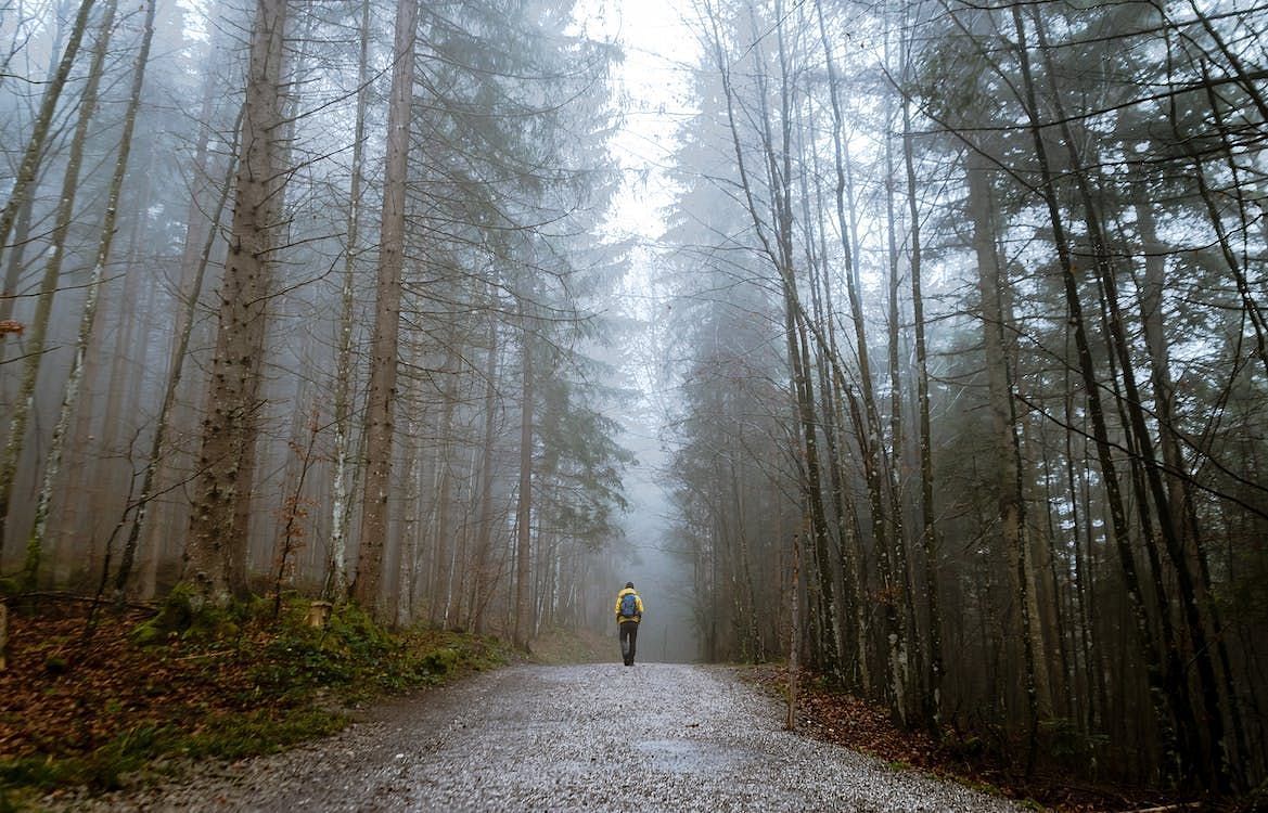 The sounds of nature can also be used as white noise for sleep. (Image via Pexels/Gabriela Palai)