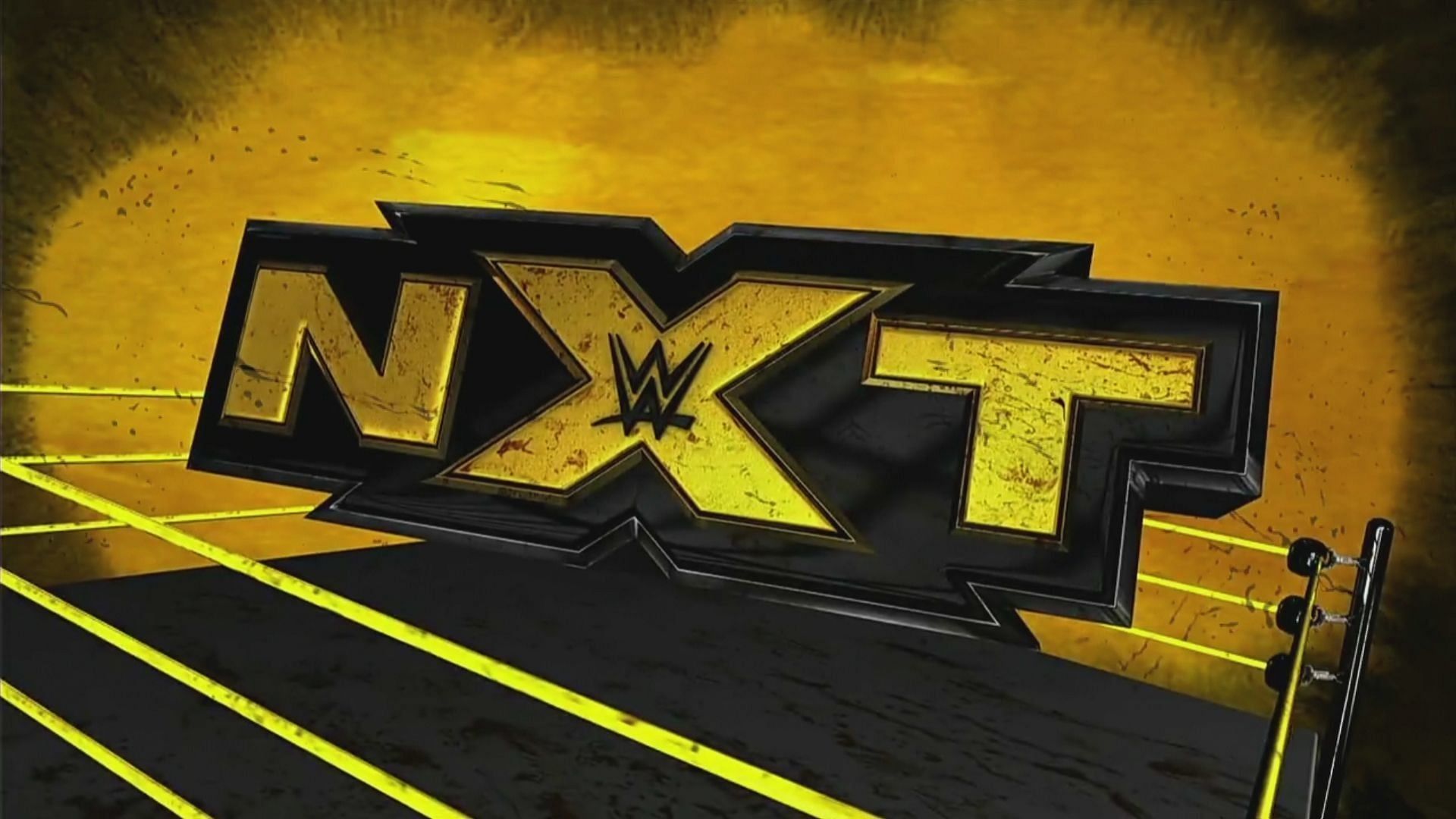 NXT has some incredible talents and some future WWE stars.