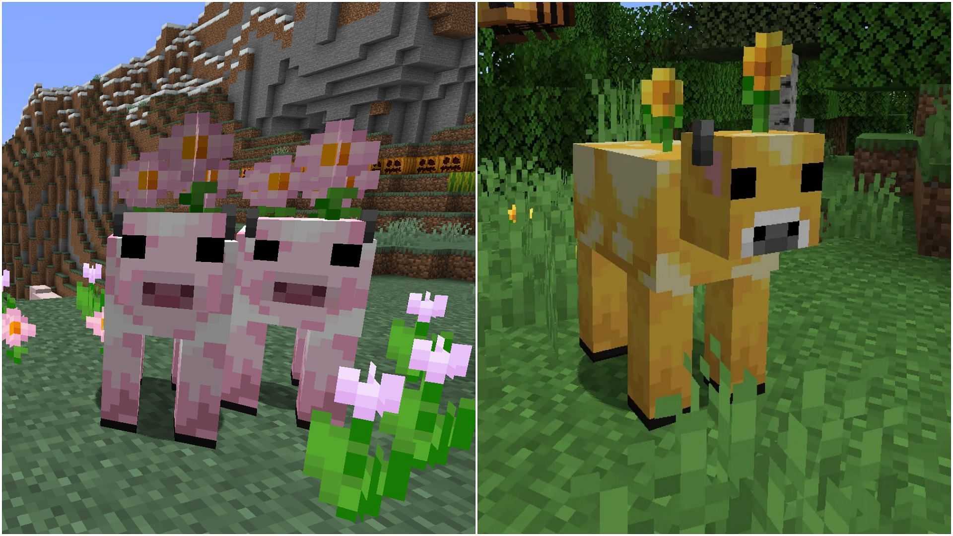 Several players are urging Mojang to add Mooblooms and Moolips in Minecraft 1.20 update along with cherry blossom biome (Image via Sportskeeda)